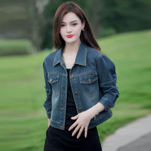 French Design Retro Short Jean Jacket