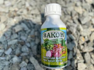Bakoh 500 ml Nutrisi Kalium silika anti mboler anti patek anti potong leher