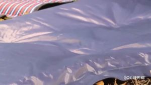 HEWOLF Self-Inflating Sleeping Pad: Lightweight & Comfortable Camping Solution