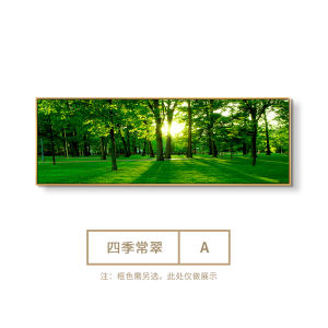 Modern Minimalist Green Forest Landscape Wall Art Decorative Painting Office Sofa Bedroom Decor Suitable for Living Room