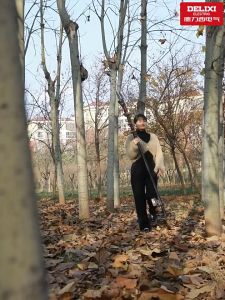 【รับประกัน 10 ปี】เลื่อยด้ามยาว 6 นิ้ว 1.8 ม. 8000W เครื่องมือตัดแต่งกิ่งไม้ แกนต่อ พลังงานสูง อุปกรณ์จัดสวน กรรไกรตัดกิ่งสูง แท่งยืดหดไฟฟ้า เลื่อยอากาศ เลื่อยยนต์ลิเธียม การตัดแต่งกิ่งสวนผลไม้