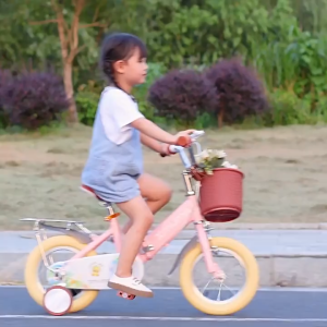 [FOLDABLE] FREE INSTALLATION 16 Inch Childrens Bicycle Foldable  Adjustable Height Sensitive Double Brake Kids Bike With Basket Training Wheel Backseat