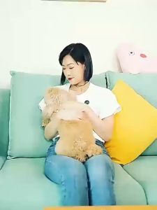 150ml Liu gou Concentrated pet disinfectant dog deodorant deodorant disinfectant pet cleaning supplies