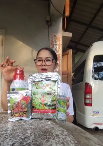 โสมแดง อาหารชูกำลังพืช ปุ๋ยชีวภาพ  สูตรเข้มข้น ใช้ปรับสภาพดิน สกัดจากธรรมชาติ100% ของแท้