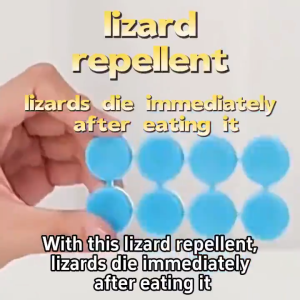 Lizard Killer Bait Cicak Killer 8pcs/Box Ubat Cicak Racun Cicak Paling Berkesan Ubat Cicak Lizard Repellent Racun Cicak