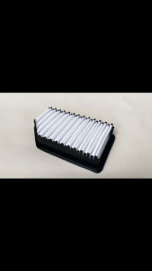 Filter Udara Kia All New Rio Grand Avega 2011-2015 28113-1R100 - 2974