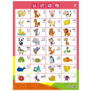 ZOUMUBAI | Educational Wall Chart Alphabet Cards