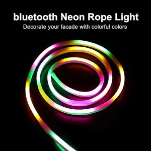 ไฟ แถบ LED ตั้งโปรแกรม 12V RGBIC นีออน 5 เมตร บลูทู ธ อัจฉริยะและเปลี่ยนสี