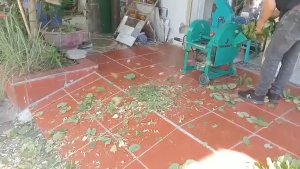 Máy thái thuôc b.ắc máy băm thân cây thuốc