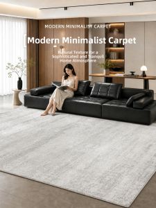 AOVOC | Modern Simple Luxury Waterproof and Stain-Resistant Carpet
