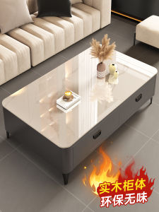 Modern Minimalist Solid Wood Rock Board Coffee Table Luxury Sensation Living Room Home Use Double Door TV Cabinet