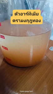 โปรพิเศษ  ไข่อาร์ทีเมีย มงกุฎทอง  30 กรัม ARTEMIA CYSTS GOLDEN CROWN  พร้อมส่ง