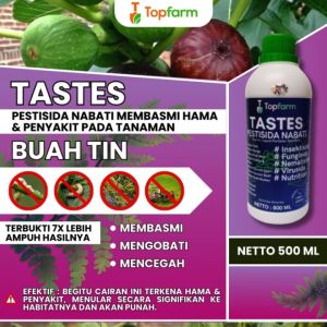 Pestisida Nabati Buat Buah Tin / Obat Penyubur Buah Tin / Obat Untuk Buah Tin / Obat Hama Tanaman Buah Tin / Obat Semut Tanaman Buah Tin / Obat Akar Tanaman Buah Tin