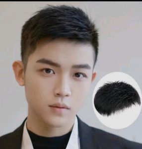 wig penutup kebotakan pria model korea
