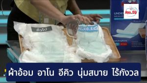 Ano.EQ(4ถุง=40 ชิ้น) ผ้าอ้อมผู้ใหญ่ แบบกางเกง ซึมซับมากพิเศษ 800CC ไซด์ L แพมเพิส แพมเพิสผู้ใหญ่