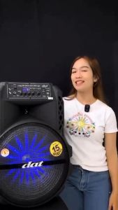 Speaker Portable DAT DT 1507 | Speaker Bluetooth DT1507 15 Inch Trolley 2 Mic wireless