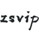 ZSVIP Flagship Store