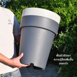 BINGXI | Chậu Trồng Cây Nhựa Dày Cao Thon