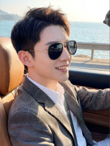 Raydem | Polarized UV Protection Driving Sunglasses