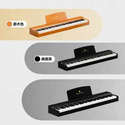 Professional Home Entry Level Electric Piano