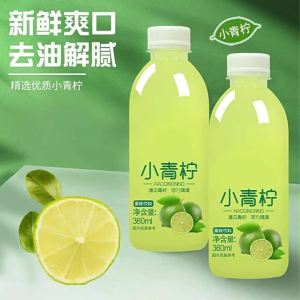 Summer Refreshing Lemon Drink 360ml