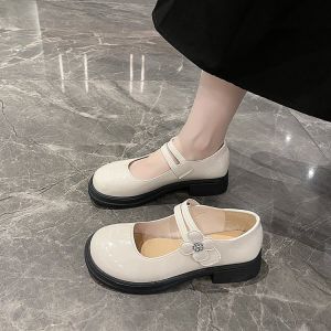 British Style Mary Jane Flat Heels Womens Shoes Fairy Style Knot T-Strap round Toe Casual Fashion Single Shoes for Students