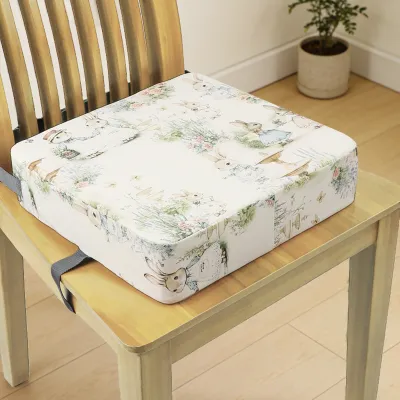 DAERDUOZIWANGZI | Seasonal Universal Children Seat Height Booster Cushion