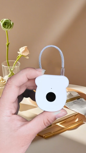 FingerSafe Gembok Pintar Anti Maling