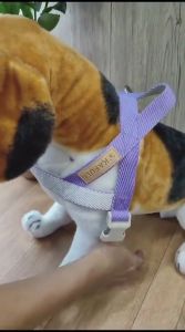 Pet Harness and Leash Dog Cat Traction Strap Tali Tuntun Anjing Kucing Harnes Tebal
