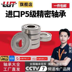Import Quality Miniature Bearings
