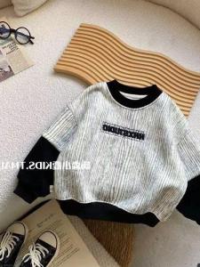 เสื้อฮู้ดผ้าขนแกะสำหรับเด็กชาย ฤดูใบไม้ร่วง/ฤดูหนาว 2025 ใหม่ เสื้อชั้นในอุ่น แขนยาว ทรงหลวม ทรงปกติ ผ้าขนแกะผสม