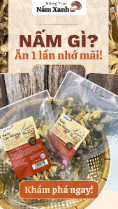 Nấm Lộc Nhung (Nấm Nhung Hươu) Khô 500gr 1kg Loại 1 Thơm Giòn Ngon - Nông Trại Nấm Xanh