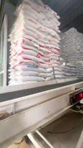 Combo 2 túi 5kg Gạo Thơm Thượng Hạng Neptune Nhãn Vàng - Dẻo thơm - Chính Hãng