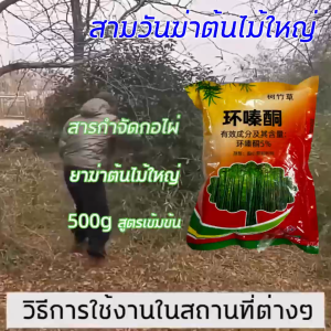 ยาฆ่าตอไม้  สารกำจัดวัชพืช  สารกำจัดกอไผ่  ไซโคลซิโนน 5%  กำจัดกอไผ่  ยากำจัดต้นไม้   กำจัดกอไผ่ ยาฆ่าไผ่