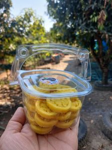 ถั่วอัด ถั่วกวนกะทิสด ของฝากกำแพงเพชร หอมนวลด้วยน้ำตาลแท้ (1กล่องมี24ชิ้น)