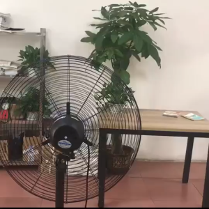 Heavy Duty 32 Inch Stand Fan and Wall Fan deliver stable strong airflow energy saving design perfectly matches the demands of workshop ventilation