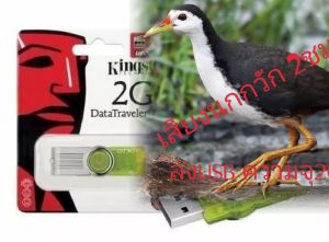 เสียงนกกวักUSB แฟลชไดรฟ์