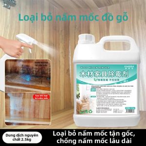 Chất Chống Mốc Gỗ Loại Bỏ Vết Mốc