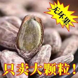 Roasted Large Kernel Pumpkin Seeds Cream Flavor Salt And Pepper Taste Special Product from Anhui Province Snacks/Nuts