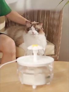 Pet Water Fountain with 4 Filters Auto Filter USB Electric Cat Drinker Bowl 1200mL Recirculate Filtring Cat Water Dispenser