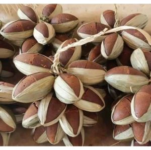GULA AREN ASLI 💯 Lebak Banten 5 hulu (1 kojor) Kualitas Terbaik