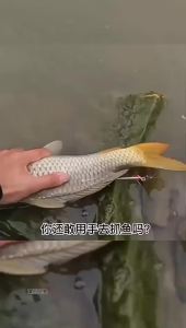 Fishing Gloves Catch Fish Anti-slip Durabl Knit Full Finger Waterproof Work Cutproof Glove Clasp Left Right Apparel Protect Hand
