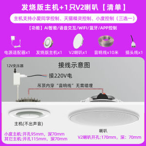 ลำโพง WIFI ลำโพงติดเพดานแบบบลูทูธแบบมีไข้รองรับการสนทนาด้วยเสียงแบบมีเพลงควบคุมด้วยเสียงการควบคุมบ้านอัจฉริยะ Ai