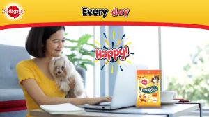 Pedigree TastyBites Crunchy Pockets / Chewy Cubes Chicken/Milk/Lamb/Beef Puppy Chicken Dog Snack Treats 50G / 60G