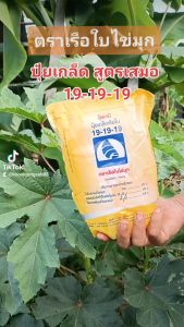 ปัญหากาย 19-19-19 ตราเรือใบไข่มูก 19*19*1 กิโลกรัม ราคาล่าสุด