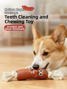 VOA | Durable Squeaky Dog Toy