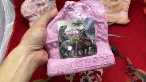 Bộ đồ chơi giáo dục STEAM Đào Hóa Thạch Khảo cổ khủng long Hình khủng long 3D đẹp độc lạ