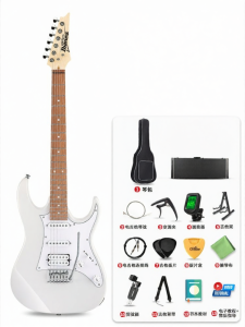 Ibanez | Beginner Friendly Electric Guitar Kit