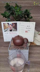 Ấm Tây Thi - Tử Chu Nê - Nghệ Nhân Vương Phương