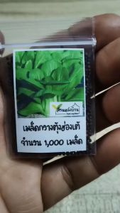 1000 เมล็ด กวางตุ้งฮ่องเต้ใบเขียว ผักกาดฮ่องเต้ เมล็ดผักกาดฮ่องเต้ กวางตุ้งฮ่องเต้ เมล็ดกวางตุ้งฮ่องเต้ กวางตุ้ง เมล็ดกวางตุ้ง
